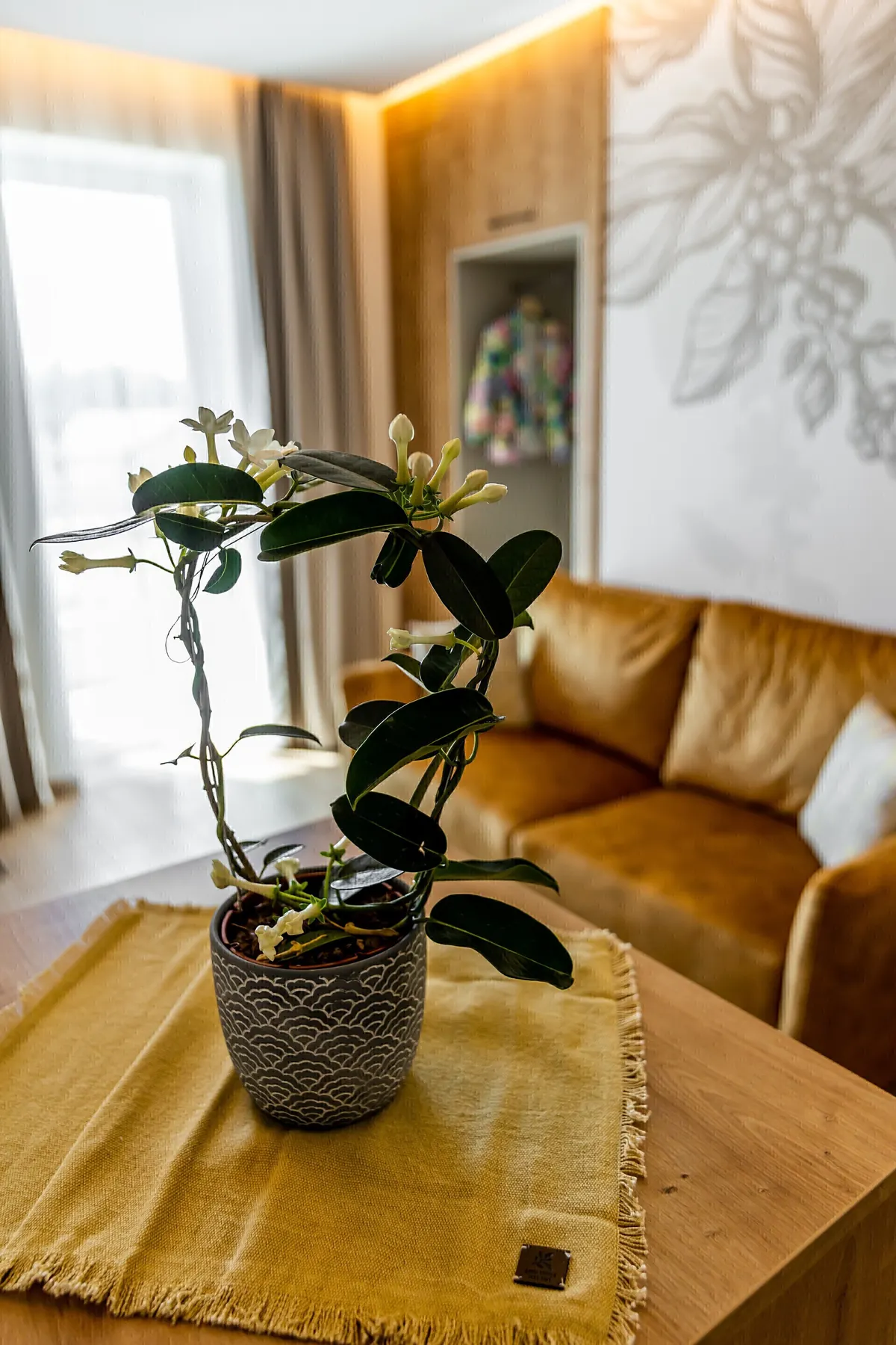 Apartmanok